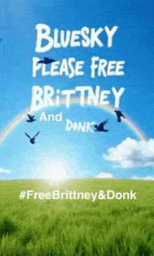 blue sky please free brittney and donk with birds flying in the sky