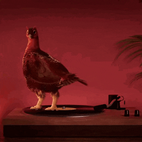 a bird is standing on top of a record player with a red background .