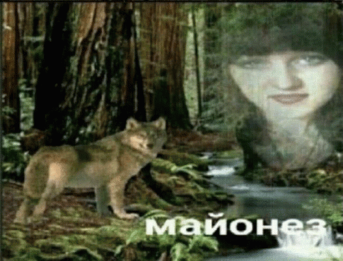 Majonez Majonezas GIF - Majonez Majonezas GIFs