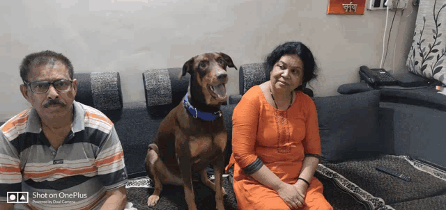 a man and woman are sitting on a couch with a dog and a shot on oneplus