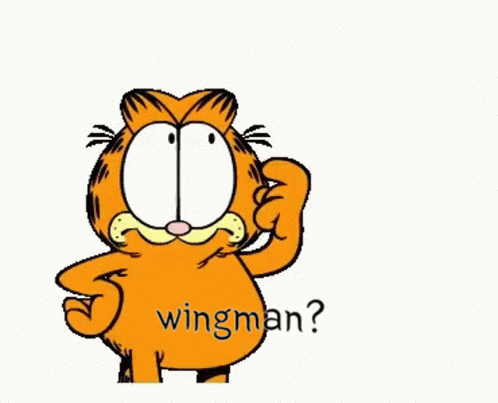 Csgo Garfield GIF - Csgo Garfield Wingman GIFs
