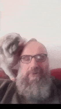 a man with glasses and a beard has a pug peeking over his head