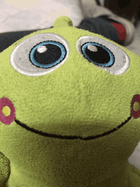 a green stuffed frog with big blue eyes