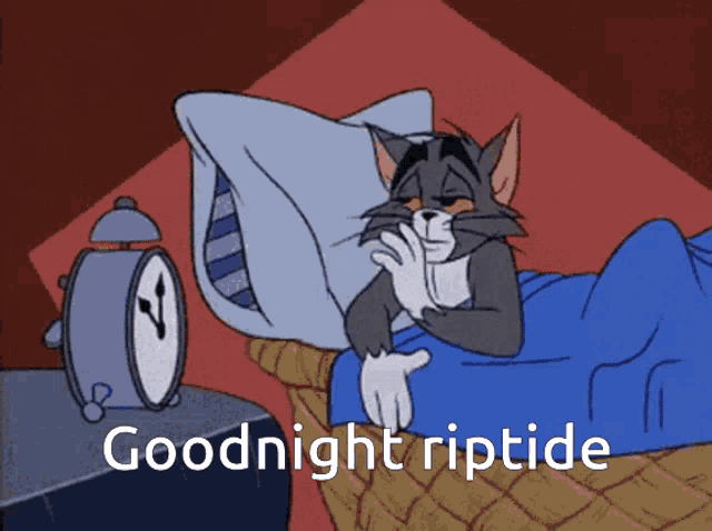 a cartoon of a cat laying in bed with the words goodnight riptide below him