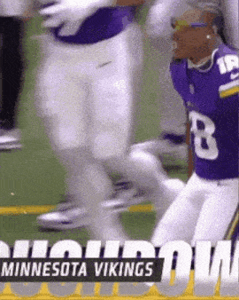 the minnesota vikings are playing a game of football