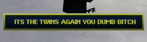 a sign that says ' its the twins again you dumb bitch ' on it