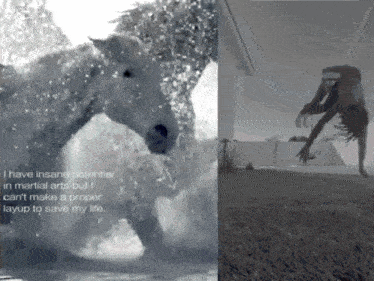 a black and white photo of a horse and a person doing a handstand