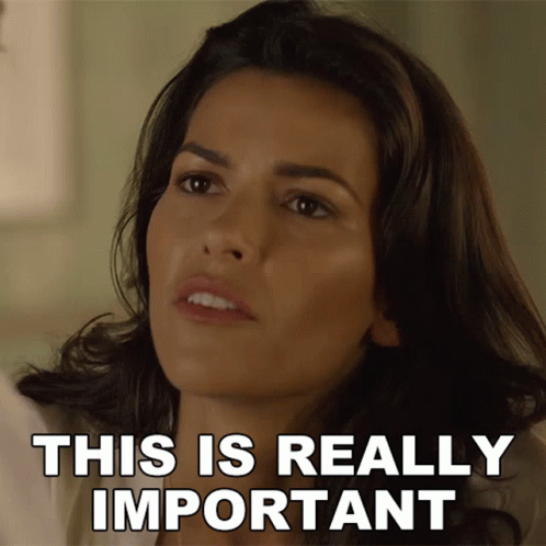This Is Really Important Lexi Vaziri GIF - This Is Really Important Lexi Vaziri Blood And Treasure GIFs