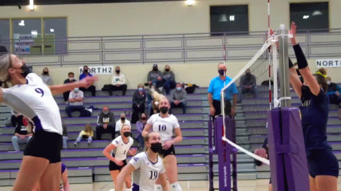 Weber State Wildcats GIF - Weber State Wildcats Weber State Volleyball GIFs