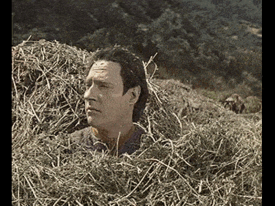 a man is hiding in a pile of hay