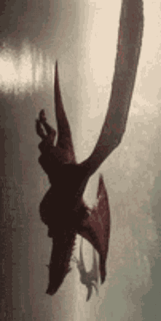 a silhouette of a dragon flying through the air with its wings outstretched .