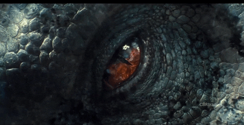 a close up of a lizard 's eye with the words c6r trailer visible