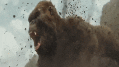 a close up of a gorilla with its mouth open and a lot of dirt coming out of it .