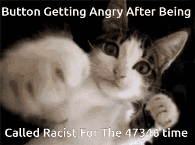 a picture of a cat with a caption that says " button getting angry after being called racist for the 47346 time "