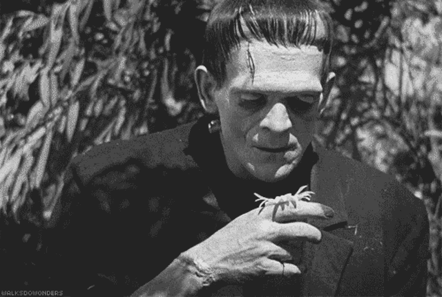 a black and white photo of frankenstein holding a small spider in his hand