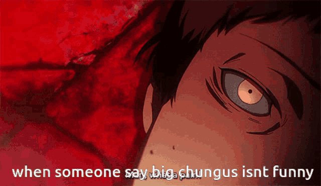 a close up of a man 's face with the words when someone say big chungus isnt funny below him