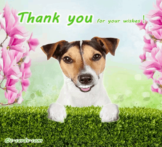 Thank You Dog Puppy GIF - Thank You Dog Puppy Spring GIFs