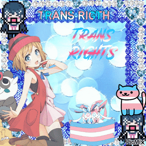 a picture of a girl and a cat with the words trans rights on top