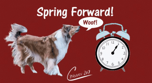 Spring Forward Clocks GIF