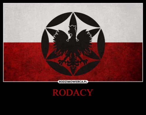 a red white and black flag with a black eagle in the middle