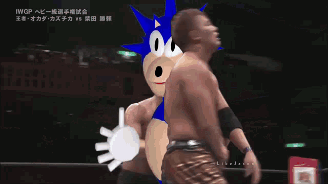 a cartoon of sonic the hedgehog wrestling a wrestler