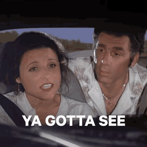a man and a woman are sitting in a car with the words `` ya gotta see '' on the screen .