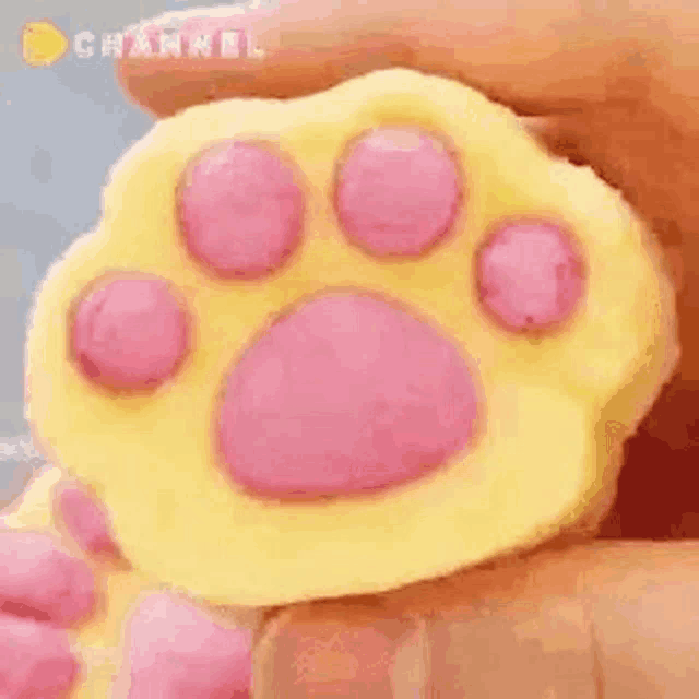 a close up of a person holding a paw print cookie in their hand .