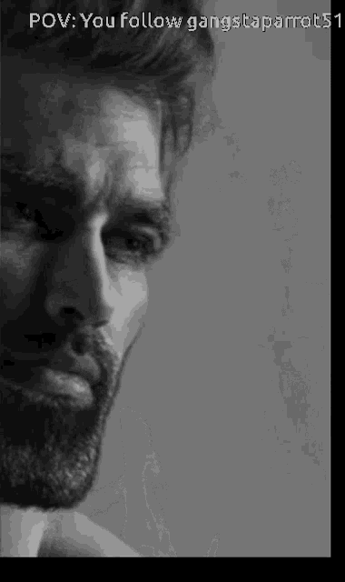 a black and white photo of a man with a beard and the words `` you follow gangstaparrots '' written on the bottom .