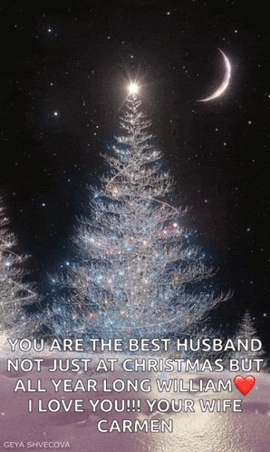 a picture of a christmas tree with a quote that says " you are the best husband "
