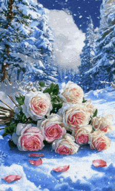 a bouquet of pink and white roses in the snow with trees in the background