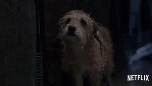Cold Scared GIF - Cold Scared Abandoned GIFs
