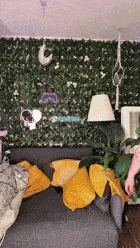 Yoonessa Yoonessa Gurke GIF