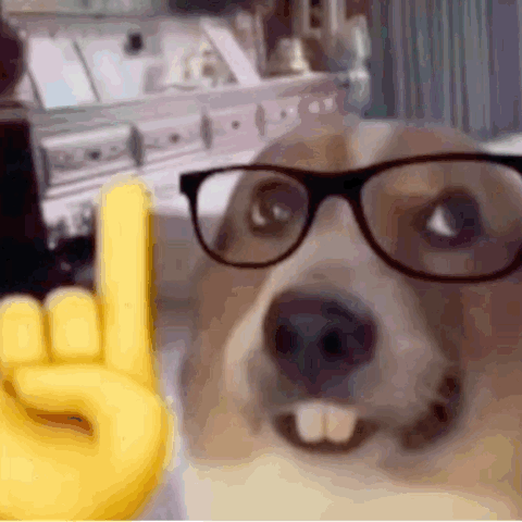 puppy pointing meme
