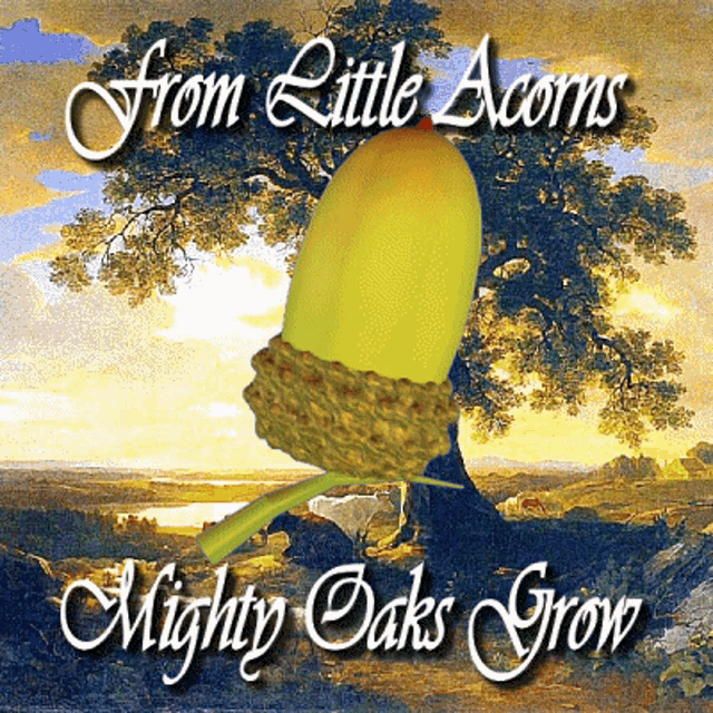 From Little Acorns Mighty Oaks Grow Acorn GIF