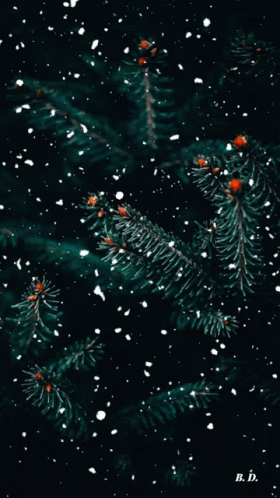 Winter Time GIF - Winter Time GIFs