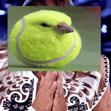 a picture of a tennis ball with a bird 's beak on it
