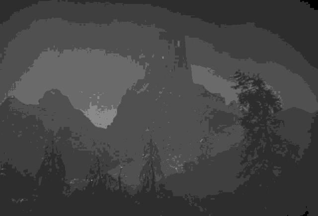a black and white photo of a mountain with trees in front of it