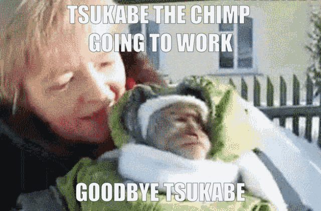Chimp Work GIF - Chimp Work Tsukabe GIFs
