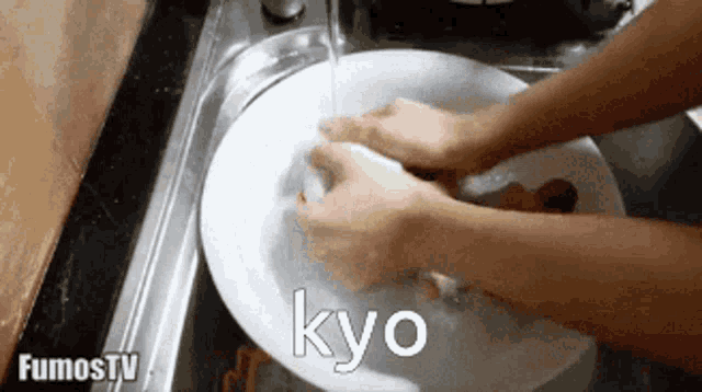 a person is washing a plate in a sink with the word kyo above them