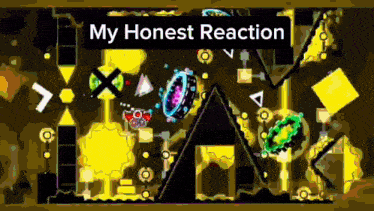 a video game with the words " my honest reaction " on it