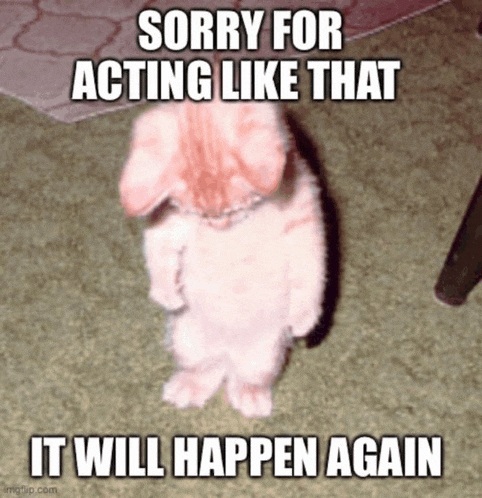 a kitten is standing on its hind legs with a caption that says sorry for acting like that it will happen again