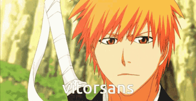 a picture of a man with orange hair and the words vitorsans on the bottom