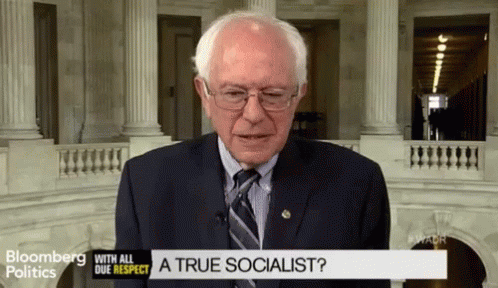 A True Socialist? GIF - Bernie Sanders GIFs