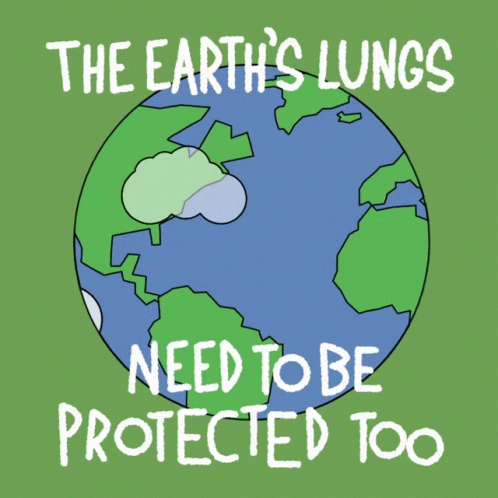 Trees Forest GIF - Trees Forest Pollution GIFs