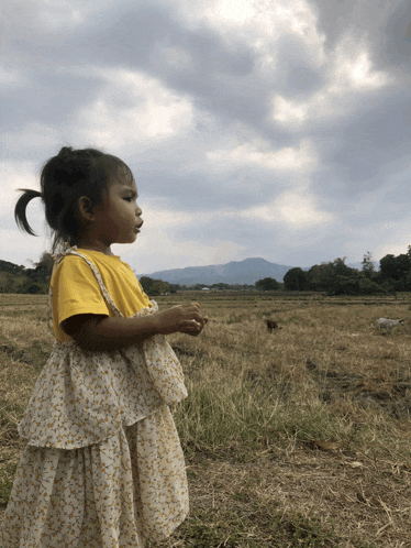 a little girl wearing a yellow shirt and a white dress stands in a field