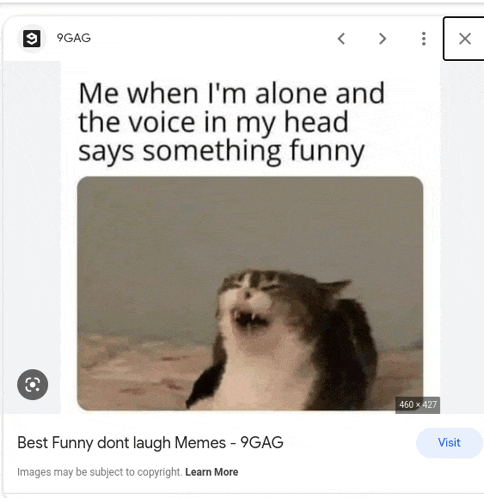 a cat with its mouth open says something funny