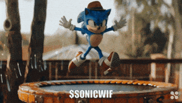 Sonic Sonic Wif Hat GIF - Sonic Sonic Wif Hat Sonicwifhat GIFs