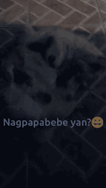 a dog is laying on a tiled floor with the words nagpapabebe yan written below it