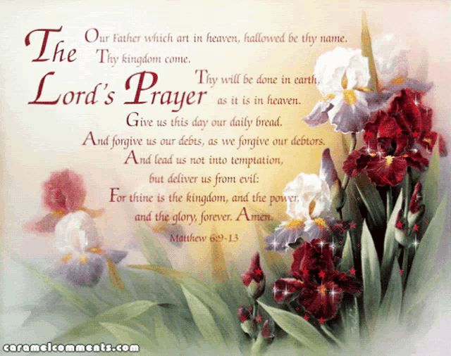 the lord 's prayer is on a card with flowers in the background