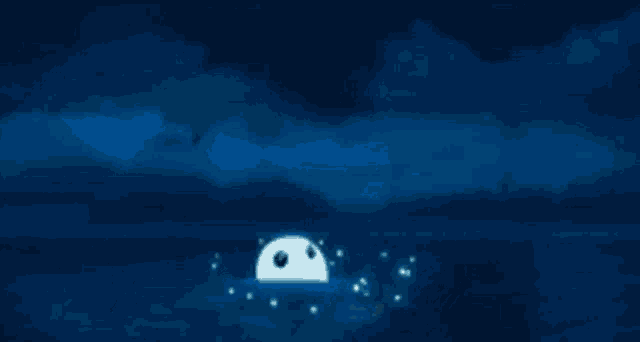 a group of seals swimming in the ocean at night .